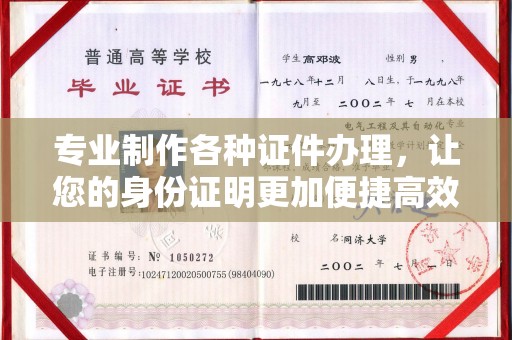 乐昌专业制作各种证件办理，让您的身份证明更加便捷高效