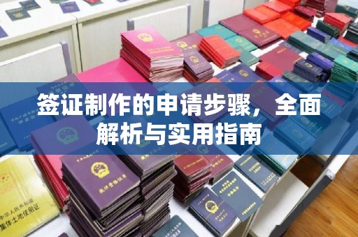 乐昌签证制作的申请步骤，全面解析与实用指南