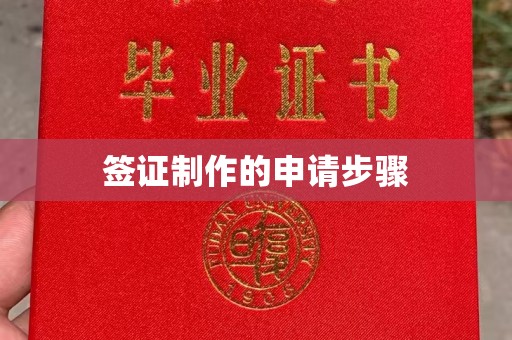 乐昌签证制作的申请步骤