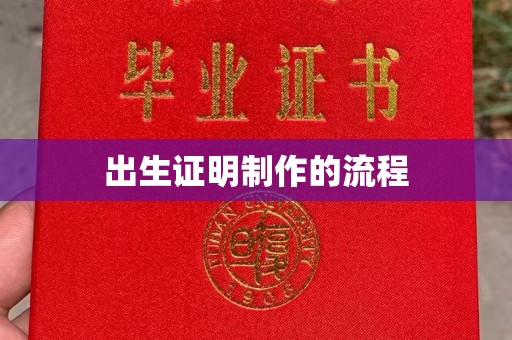 乐昌出生证明制作的流程