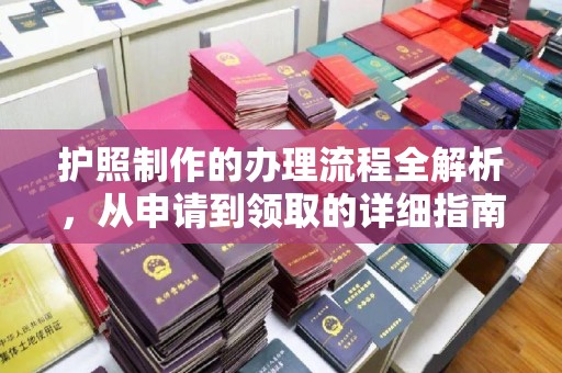 乐昌护照制作的办理流程全解析，从申请到领取的详细指南