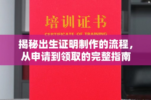 乐昌揭秘出生证明制作的流程，从申请到领取的完整指南