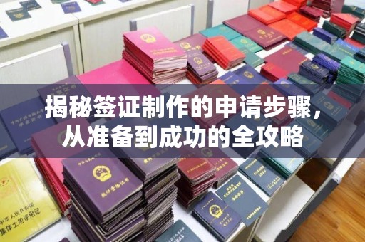 乐昌揭秘签证制作的申请步骤，从准备到成功的全攻略