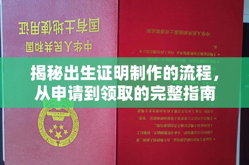 乐昌揭秘出生证明制作的流程，从申请到领取的完整指南