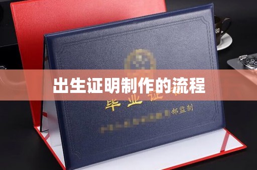乐昌出生证明制作的流程